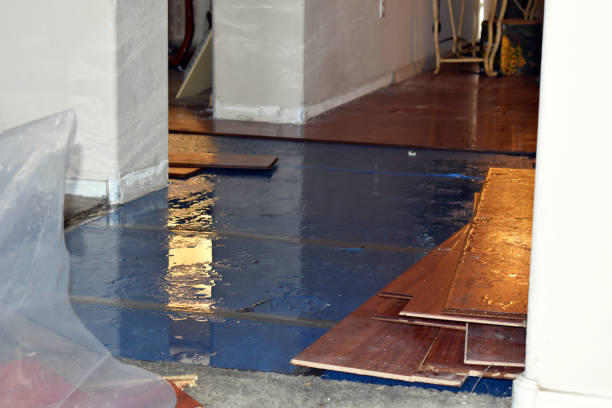 Professional Sewage Cleanup technician working in Cadillac, MI