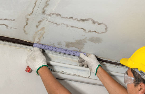 Reliable Sewage Cleanup contractor in Cadillac, MI by Water Damage Irwin